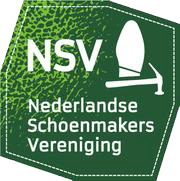 logo_nsv_header